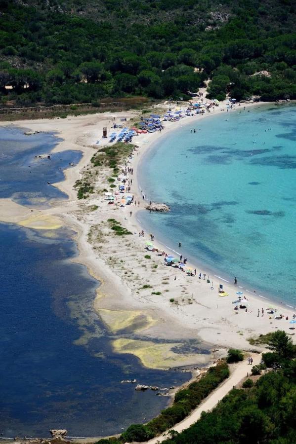 Elisart Guest House Αλγκέρο Εξωτερικό φωτογραφία