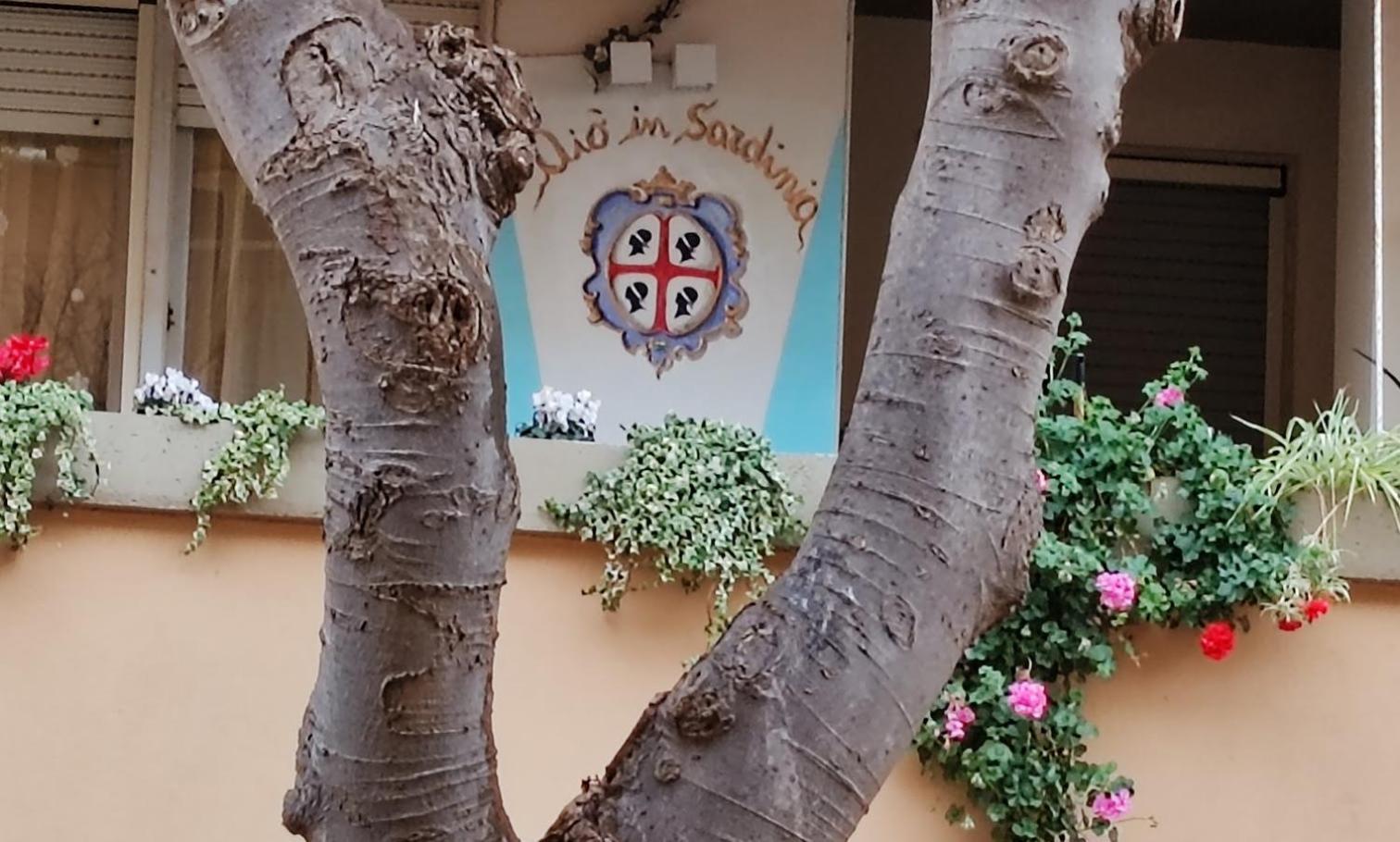 Elisart Guest House Αλγκέρο Εξωτερικό φωτογραφία