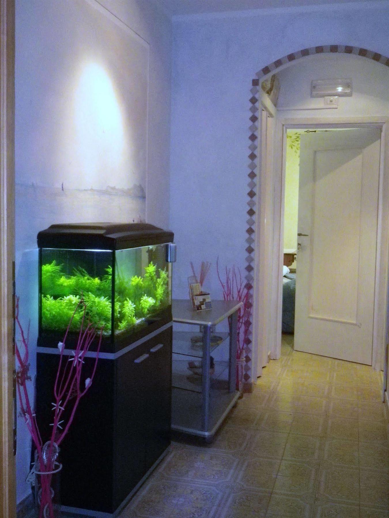Elisart Guest House Αλγκέρο Εξωτερικό φωτογραφία
